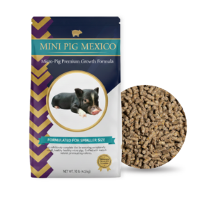 alimento para mini pig mercado libre