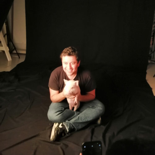 cuanto cuesta un mini pig